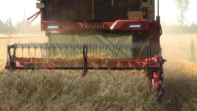 多措并举确保颗粒归仓 夏粮主产区小麦喜获丰收