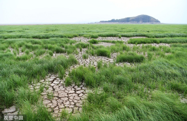2022年9月22日，江西九江，进入枯水期的鄱阳湖湖口段干裂的湖滩。