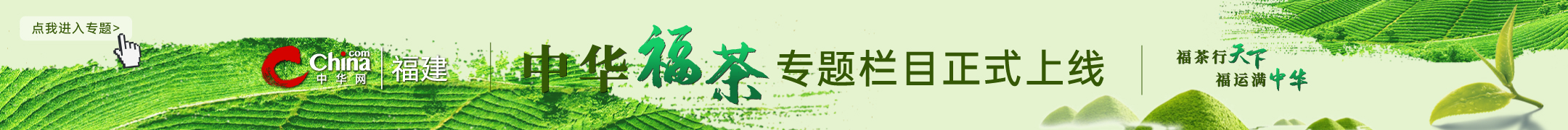 福茶专题栏目上线