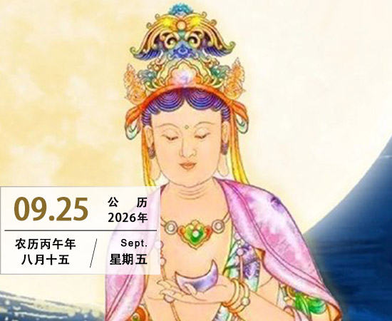 恭逢圣诞 月润禅心