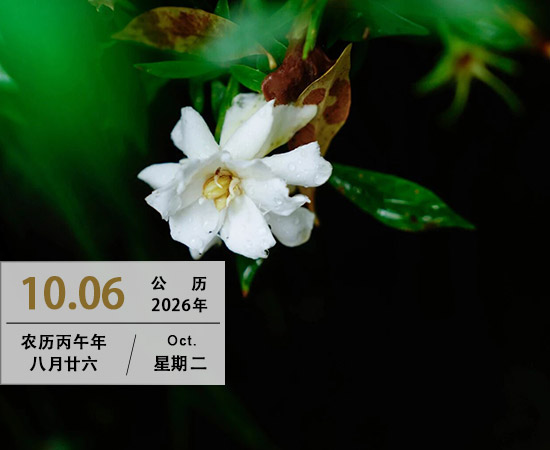 在绝望中寻找希望