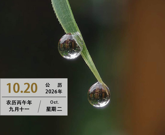 看淡万事自简