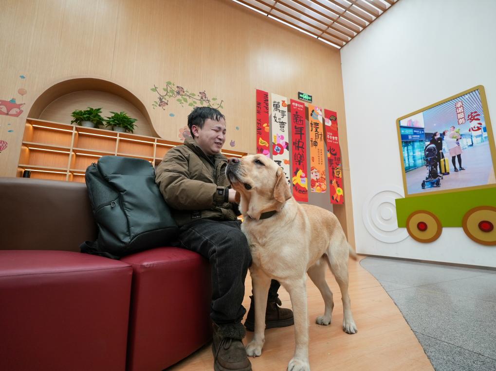 新春走基层丨春运里的温柔守护：导盲犬“拿铁”与视障旅客的暖心旅途