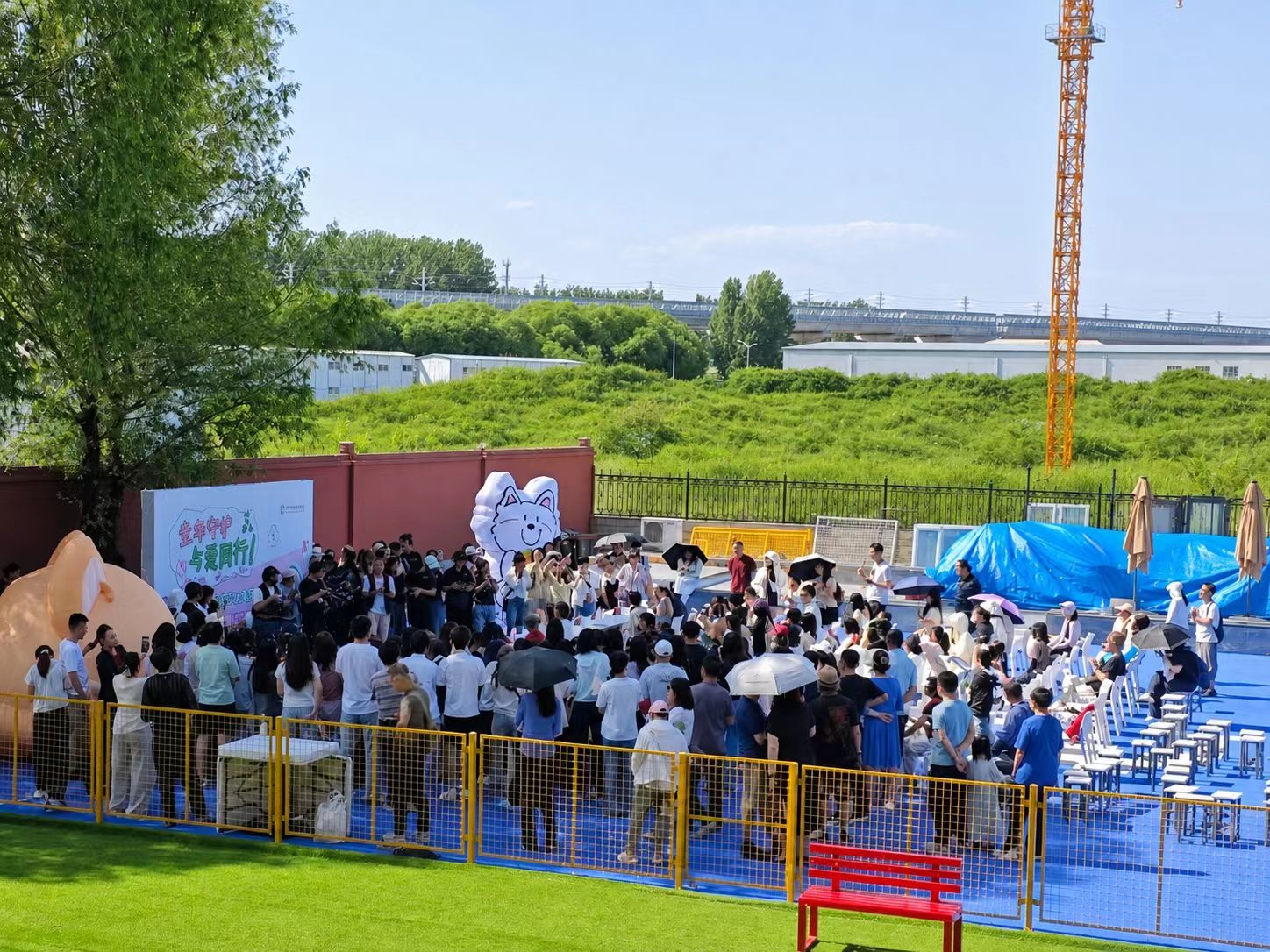 首都爱护动物协会举办第29届领养开放日，演员金晨爱心公益项目同步启动