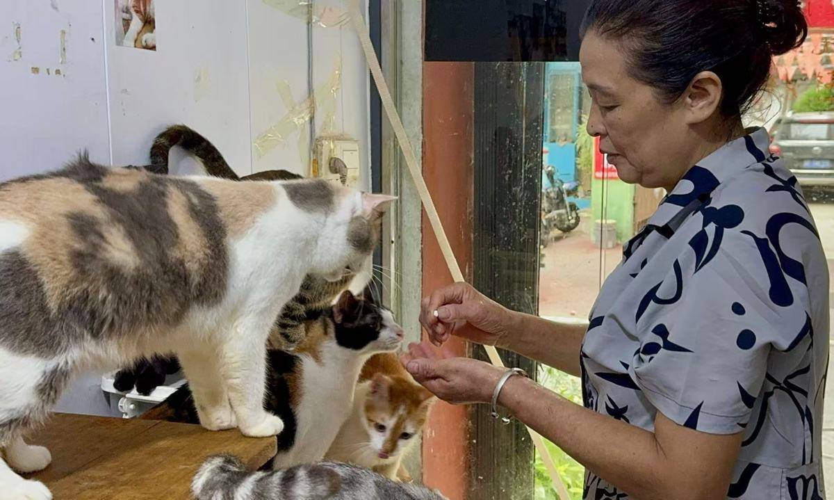 红姑，与她的102只猫