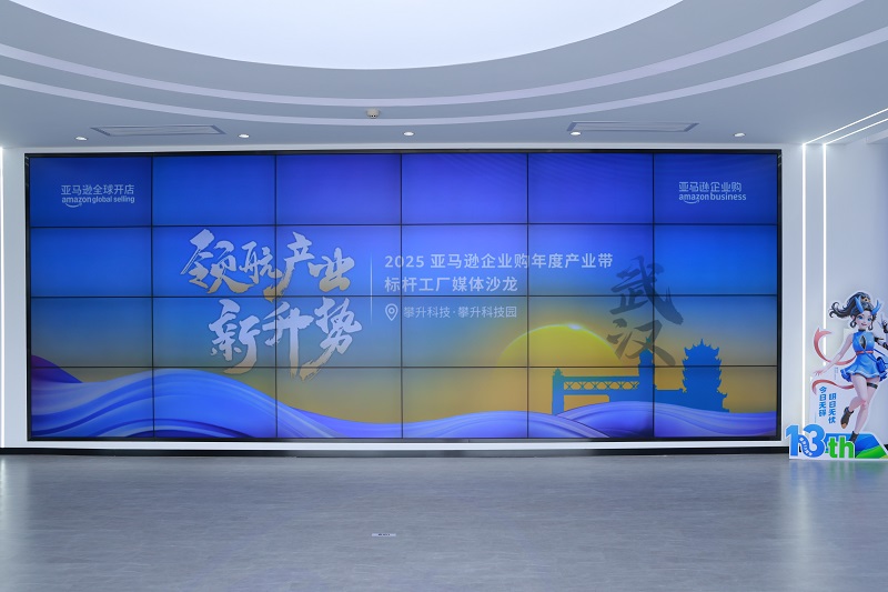 武汉光电子信息产业带抢滩全球市场，亚马逊成出海“新引擎”