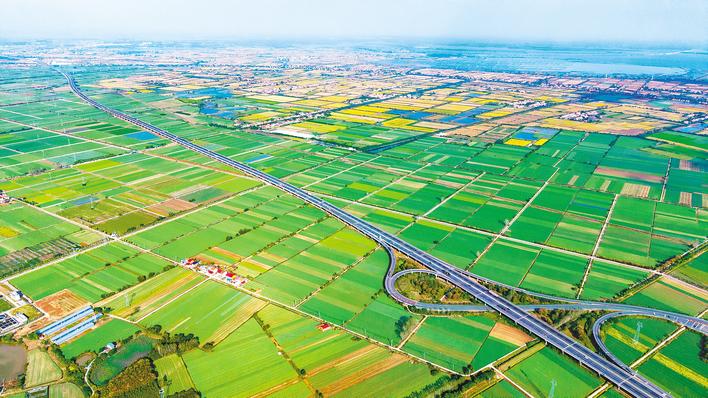 总书记望向的广袤田野迎来好“丰”景 ——回访嘉鱼县潘家湾镇十里蔬菜长廊