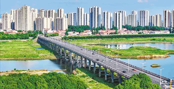 激活城市更新自我造血能力  新洲城市“边角料”变身“下金蛋的母鸡”