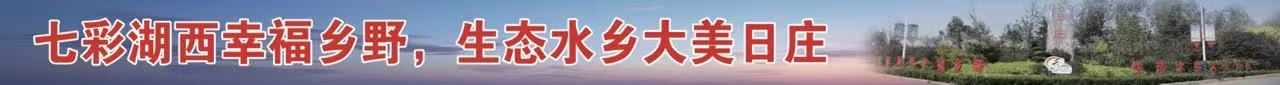 青岛莱西市日庄镇：绿意满田迎丰收 西蓝花撑起村民“致富伞”