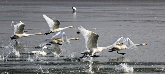 山西运城圣天湖小镇
