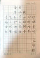 非遗少年 笔墨绘新篇