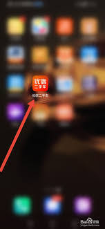 如何查看优信二手车