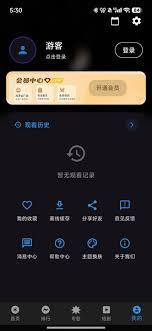 坚果视频app如何设置中文字幕