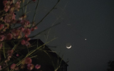 星月浪漫 今晚金星伴月现身天宇