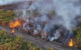 巴西潘塔纳尔湿地火灾频发 突破历史纪录