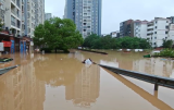 注意！重庆这些地方有大暴雨 部分地区出现内涝