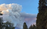 美国加州“帕克”山火过火面积超1400平方公里