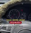 车停地库一个多月遇“全菌出击” 霉菌遍布方向盘座椅