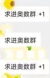 “卧底”小红书海淀高知妈妈群，发现鸡娃高端局的底层逻辑......