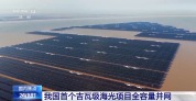 我国首个百万千瓦级海上光伏项目全容量并网