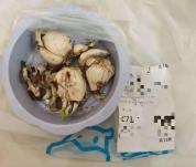 因盒马误送水仙入院家庭索赔375万 配送失误引发争议