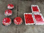 草莓大降价低至1元每斤 武汉实现草莓自由