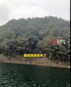 退休干部孤岛生活10多年：这里山好水好，非常适合养老