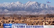 借牧+育种+精深加工 祁连山畜牧业转型走出新路子