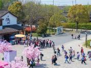 山东、湖南、贵州加入“春秋假”行列