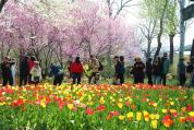 假期首日北京市属公园纳客超58万人次 春日文化盛宴开启