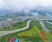 淠史杭灌区，农田喝上及时水