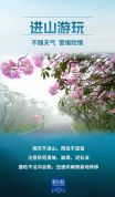 假期出游，这10个安全提示要记牢