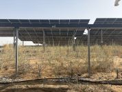 实探首批“沙戈荒”新能源基地 绿电治沙协同增效