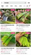 蒜薹滞销蒜农倒贴钱送出去 蒜农直播带货自救