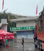 最暖糖厂门口仍有400多台货车排队 暖心举措助蔗农