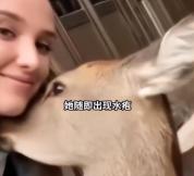 西班牙25岁芭蕾舞演员赴日旅游，摸完奈良鹿后，发烧呕吐半年，确诊莱姆病 罕见病例引发关注