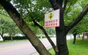 男子发现毒蛇上前拍照被咬中脚 电梯惊魂记