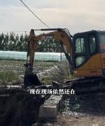 徐州非法排污后续 污染农田整治中