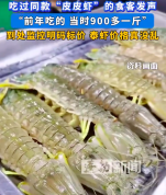 吃过同款皮皮虾食客发声：虾有手臂长，当年900多一斤