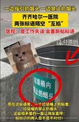 一边指引扔烟头 一边禁止扔烟头：工作失误引热议