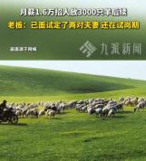 月薪1.6万放羊已有两对夫妻试岗 牧区生活引关注