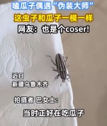 女子偶遇虫子长相酷似瓜子险些误吞