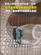 男童坐扶梯鞋头被咬 父亲反应迅速