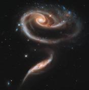 “520”查收来自宇宙的心动 星辰玫瑰见证永恒爱意