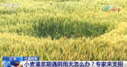 护航“三夏”时节 “丰收在望”变成“丰收到手”