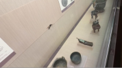 台北故宫博物院展柜出现蚂蚁 馆方急回应