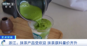 我国是全球最大的抹茶生产国 产量占全球近70%