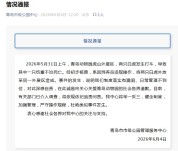 网红白虎“小孬”意外离世 园方通报 饲养员违规操作导致悲剧