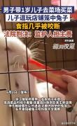 兔子咬伤孩子手指店家被索赔 家长主责引发讨论