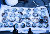 挪威沉船发现大量青花瓷：所有人沸腾 古代贸易见证